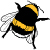 humlebi