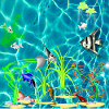 Tropical Fish Tank
