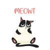 Don´t stress the cat
