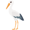stork