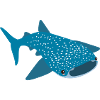 Requin baleine