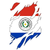 Paraguay flag torn motif