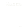 Nazca Spider