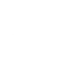 Weimaraner portrait