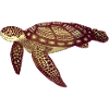 Sea Turtle | Sea turtle