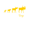Moose Moose family Sweden Sverige