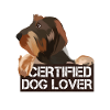 Dog wire-haired dachshund dog lover
