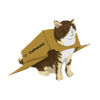 airplane cat meme