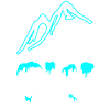 to ski