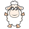 Sheep Funny