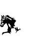Horses stallion - mare - foal