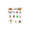 entomology