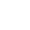 insects