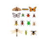 insects