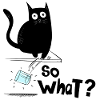 Black cat - so what?