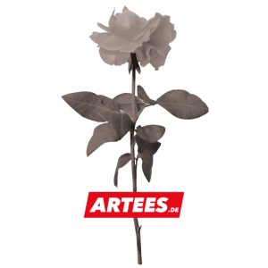 Be ARTEES.DE Rose