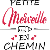 Petite Merveille en chemin