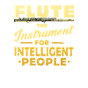 Flute musical instrument flute player