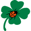 Lucky Cloverleaf Ladybug