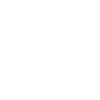 Military ARMY