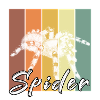 spider