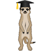 Bachelor's Master's Degree Meerkat