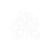 Jiu Jitsu disant