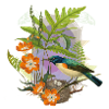Birds Nest