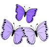 Farfalle viola
