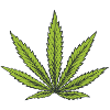 Cannabis leaf