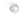 to the moon and back