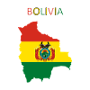 Bolivia flag - art design