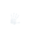 Dad of Five