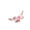 Team Bride