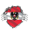 Austria flag coat of arms superhero gift