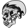 SILVER SKULL