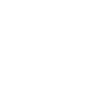 bus driver