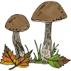 Pilze
