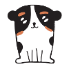 PAUL