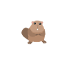 Biber Tier Tiere Geschenk