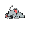 Cute Sleeping Koala Gift Idea
