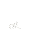 King lion
