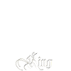 Royal king lion