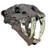 smilodon