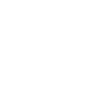 Evolution Ladies Vaulting Reiten Pferd