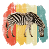 zebra