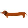 Wursthund - Langer Hund