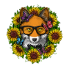 Tournesols Fox Hippie