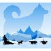sled dogs