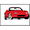 mx 5